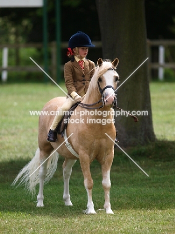 Girl riding Palomino horse