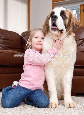 Girl with a Saint Bernard