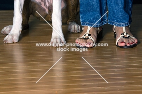 feet of boxer and woman