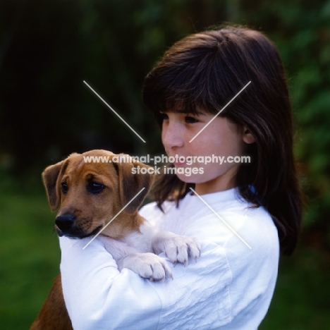 girl holding a mongrel puppy