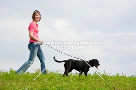 young woman taking her Black Labrador Retriever for a walk in the country