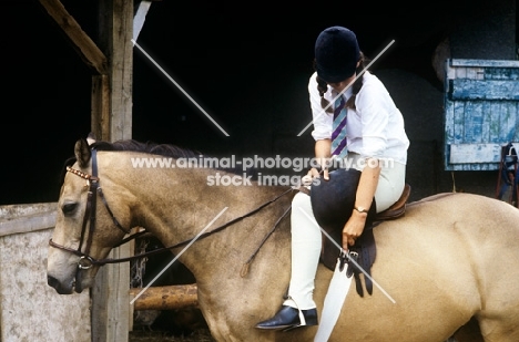 rider adjusting girth