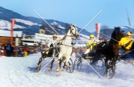 trotters racing in snow on the lake at kitzbuhel