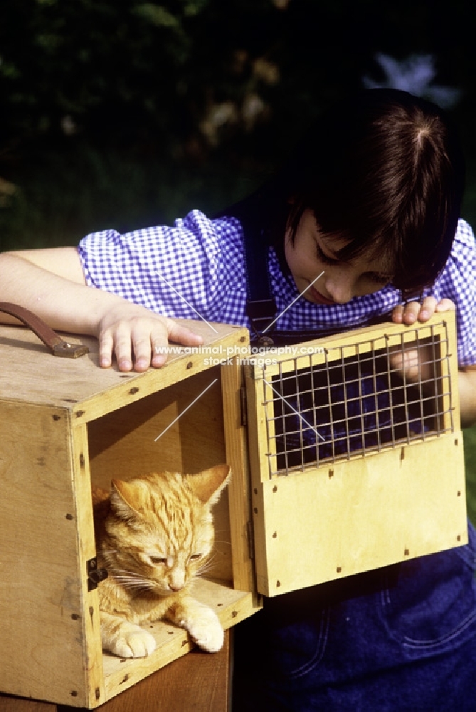 girl looking at ginger cat in carrying box