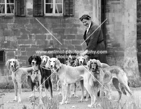 salukis at havixbeck castle with Miss Lindroth