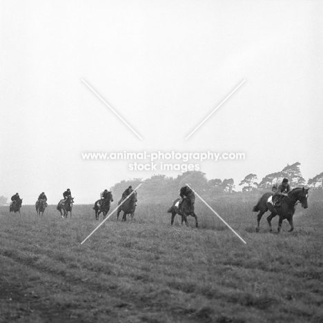 exercising racehorses at epsom