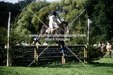 cross country at burley horse trials  