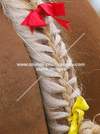 decorated plaited tail