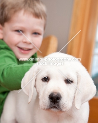 Labrador puppy and boy