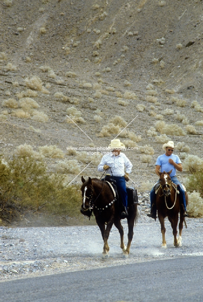 two quarter horses and riders in death valley