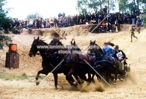 world driving championships Windsor 1980