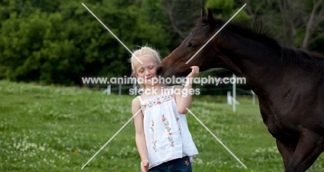 Appaloosa kissing girl