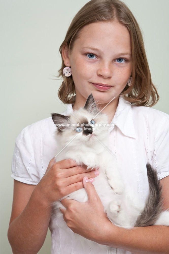 girl holding Ragdoll kitten