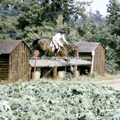 Lucinda  Green riding killaire, 1979 luhmuhlen
