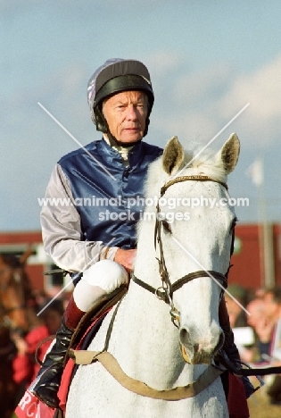 one thoroughbred horse ridden in paddock