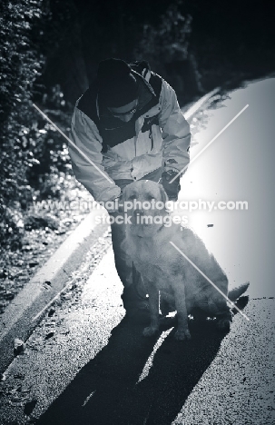 Labrador Retriever with owner