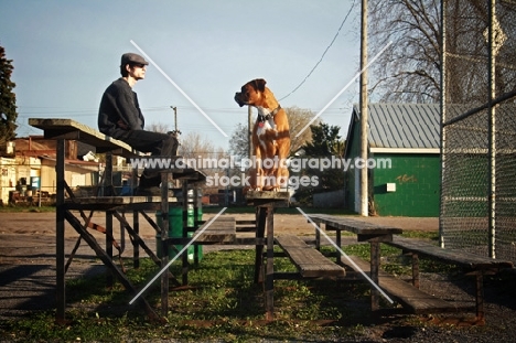 Man and Boxer on bleachers