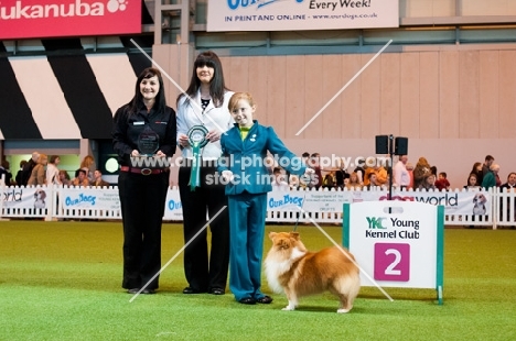 Robyn Arnall & MYRIEHEWE GORDON BENNETT "Gordon" Runners up YKC Crufts 2012 Handler of the Year