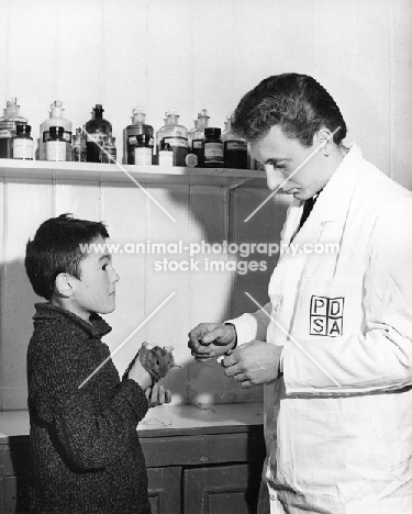 PDSA dispensary at Walthamstow. Boy with guinea pig at vet surgery.