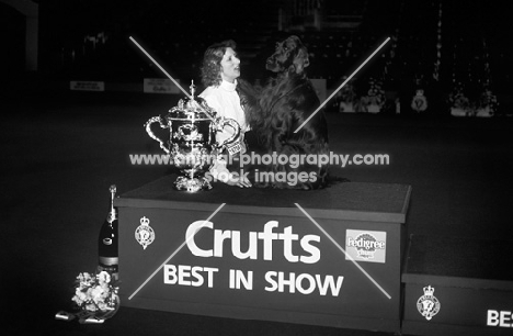 irish setter, sh ch danaway debonair with his paw on owner, jackie lorimer, after winning bis crufts 1993