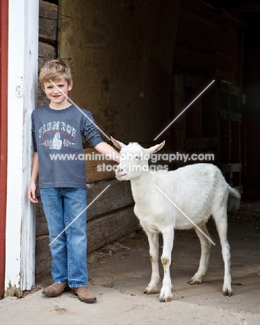 Boy with Saanen goat