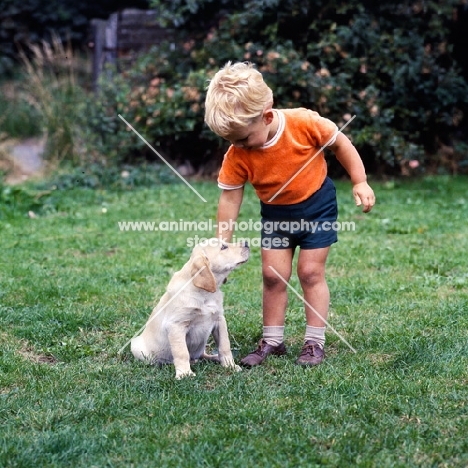 boy with labrador puppy