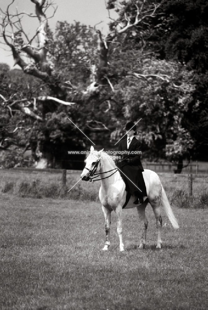 riding side saddle