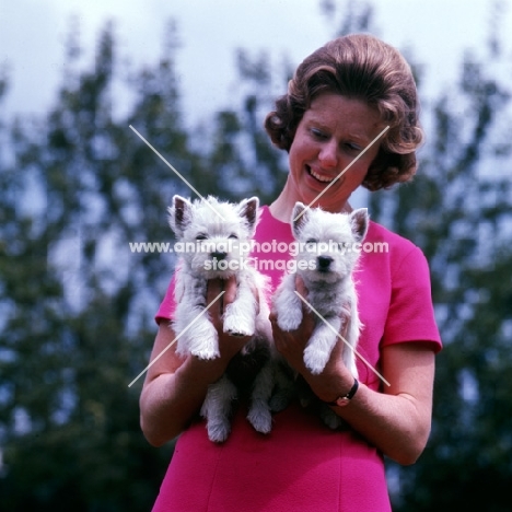 catherine owen with two west highland white puppies