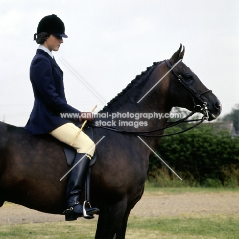 showing spurs,  bamboo cane and double bridle