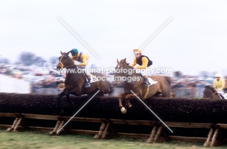 horses clearing fence in point to point at kimble