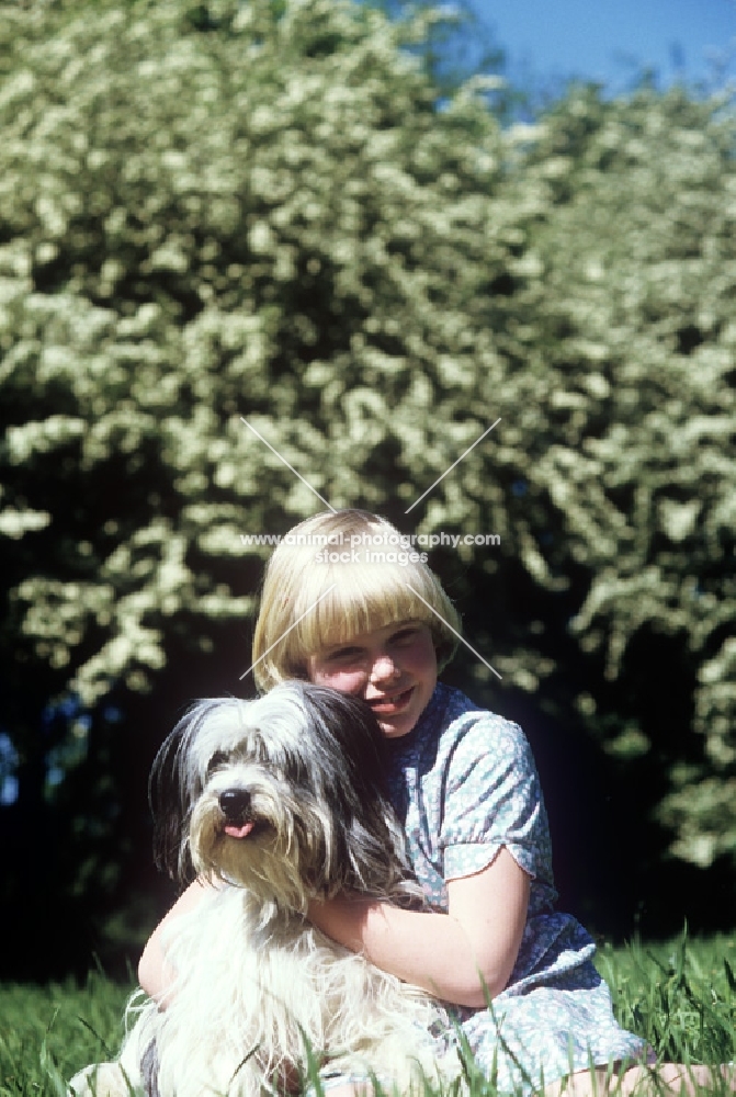 young girl with cross bred dog