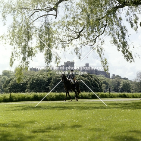 riding in windsor great park