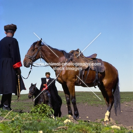 cossacks with kabardine horses in Caucasus mountains