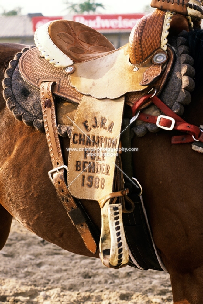 saddle of champion pole bender, tampa usa
