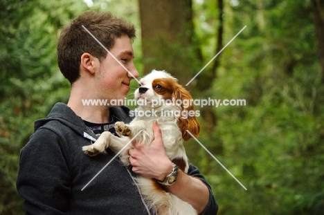 Cavalier King Charles Spaniel being carried. 