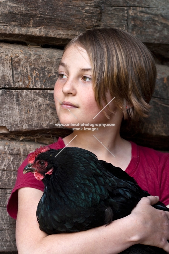 girl holding Black Australorp hen in old barn 