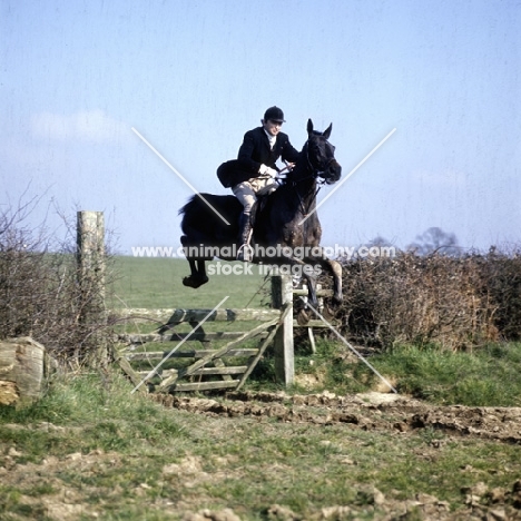 horse and rider jumping gate at drag hunt