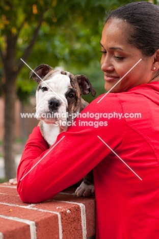 Bulldog with owner