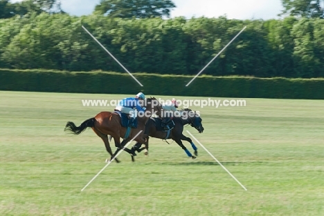 two thoroughbred horses racing on training grounds