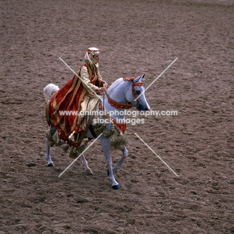 Arab USA rider in Arabian native costume high angle shot 