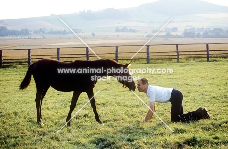 trainer communicating with young trakehner at weblesgrund