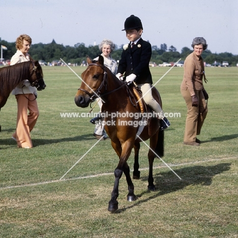 Caspian Pony ridden by a boy at a show