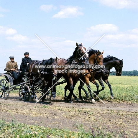 tachanka with Budyonny horses