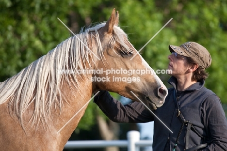 Palomino Quarter horse with man