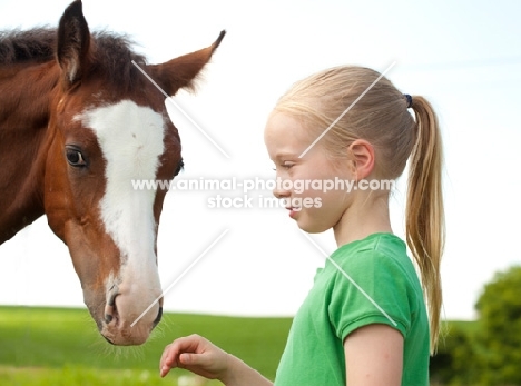 Appaloosa and girl