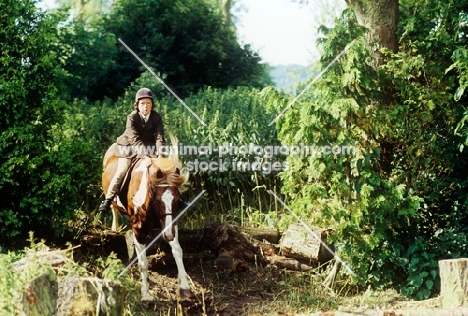 pony club member riding a cross country course