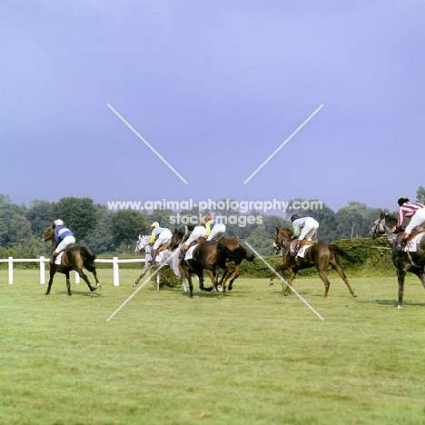 racing at haras du pin, france, 