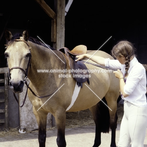 measuring stirrup leathers