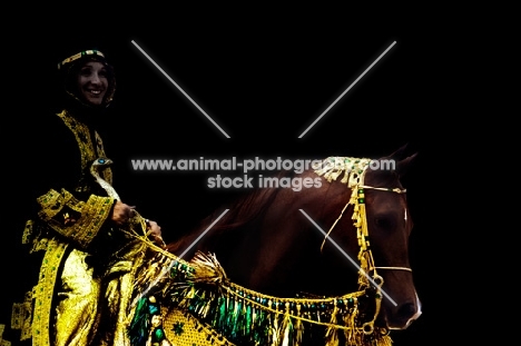 arab horse with rider in traditional costume at show