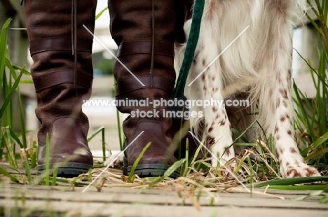 boots and legs